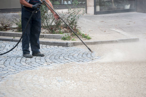 Best Parking Lot and Garage Cleaning  in Watseka, IL